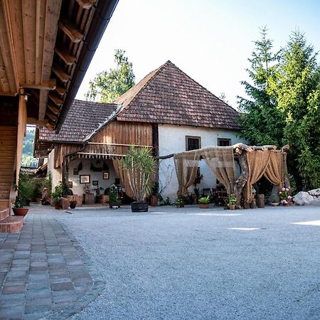 Resort Hisa Ida - Apartments With Hot Tub And Sauna Ivancna Gorica Экстерьер фото